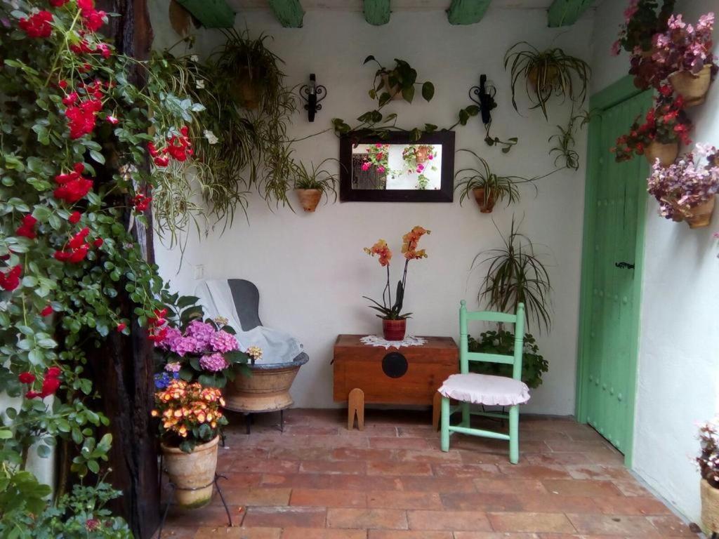 Apartamento La Casa de la Costurera Córdoba Exterior foto
